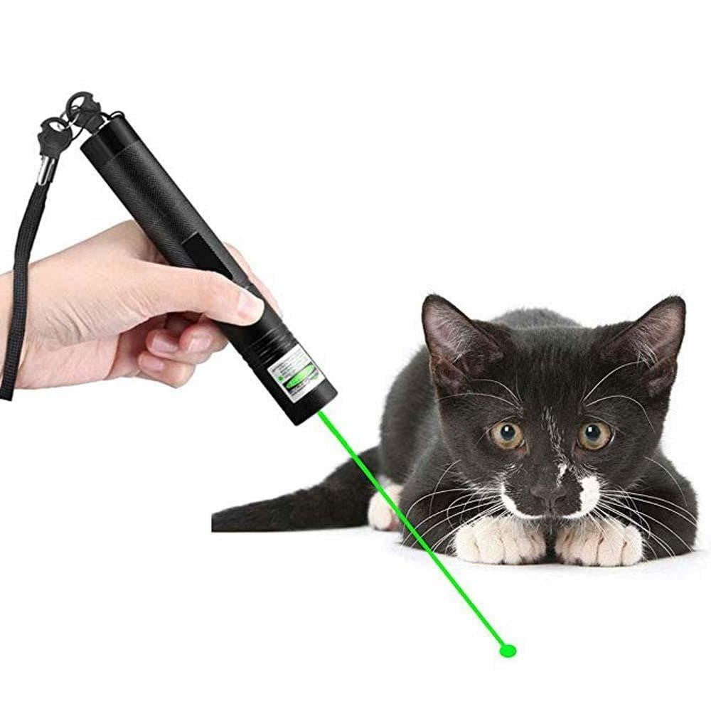 Høyytelses laserpointer 303