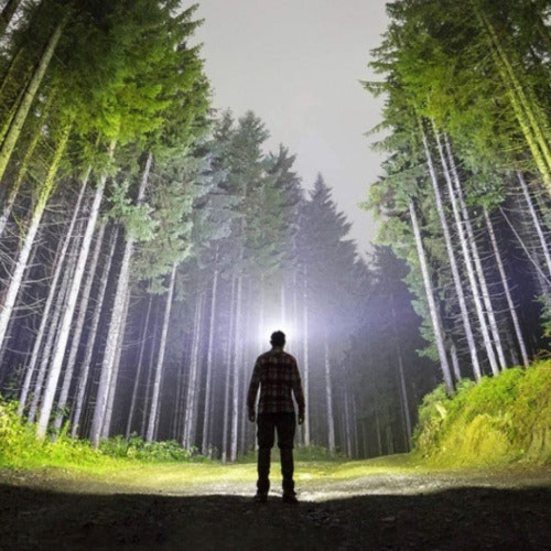 Profi 350 - 2 i 1 LED-hodelykt - originalen